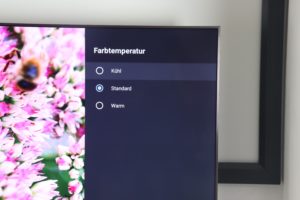 Xiaomi TV Testbericht 55 Zoll Global Android TV 4
