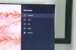 Xiaomi TV Testbericht 55 Zoll Global Android TV 8