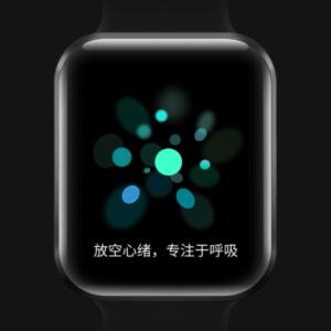 Meizu Watch vorgestellt 13