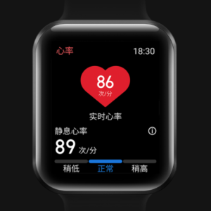 Meizu Watch vorgestellt 9
