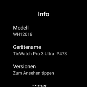 TicWatch Pro 3 Ultra Test Screenshot Uhr Einstellungen 7