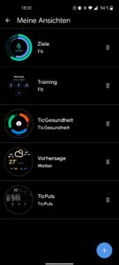 TicWatch Pro 3 Ultra Test Screenshot Wear OS App 1