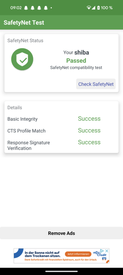 Screenshot pixel 8 test safetynet